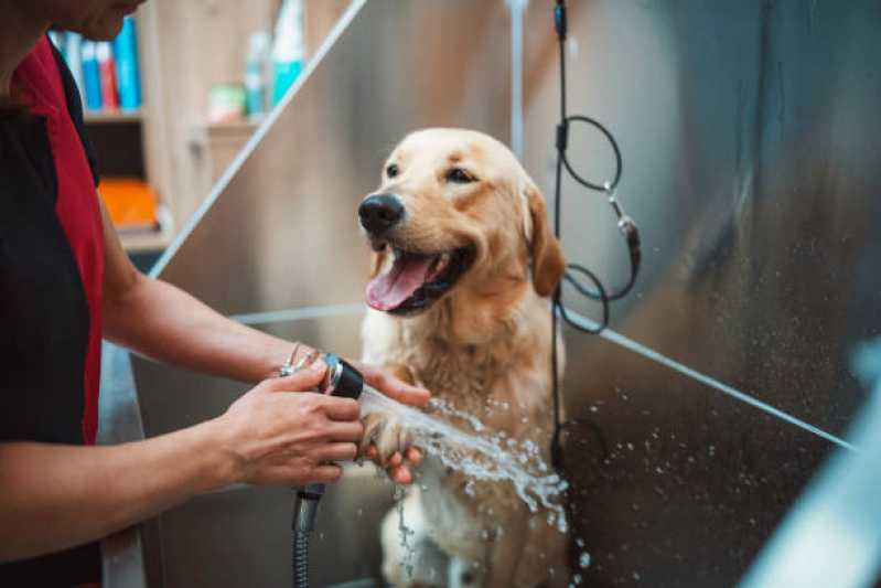 Banho e Tosa Pet Valor Vila Rosa - Banho e Tosa para Animais
