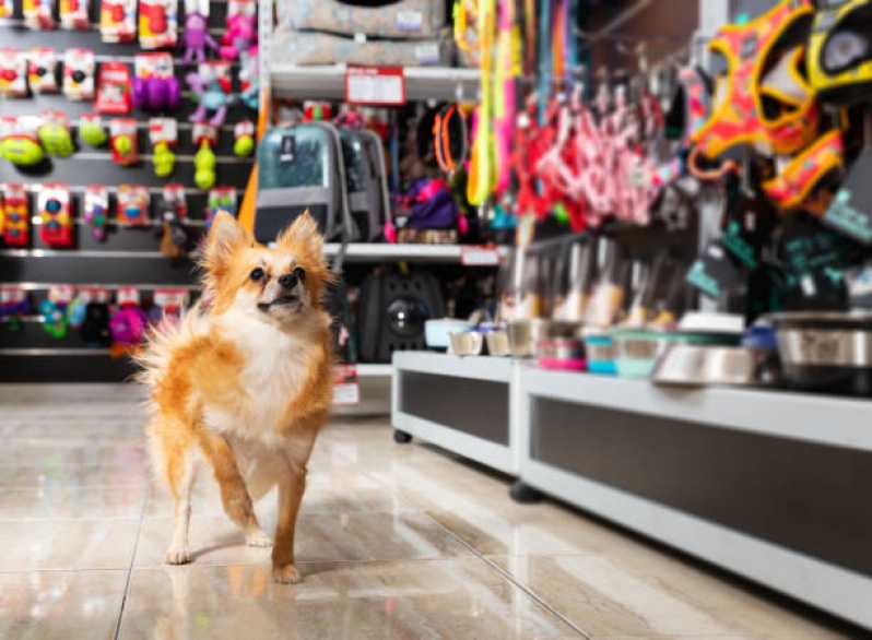 Curso de Pet Shop Vila Nova Santa Luzia - Curso de Banho e Tosa Presencial