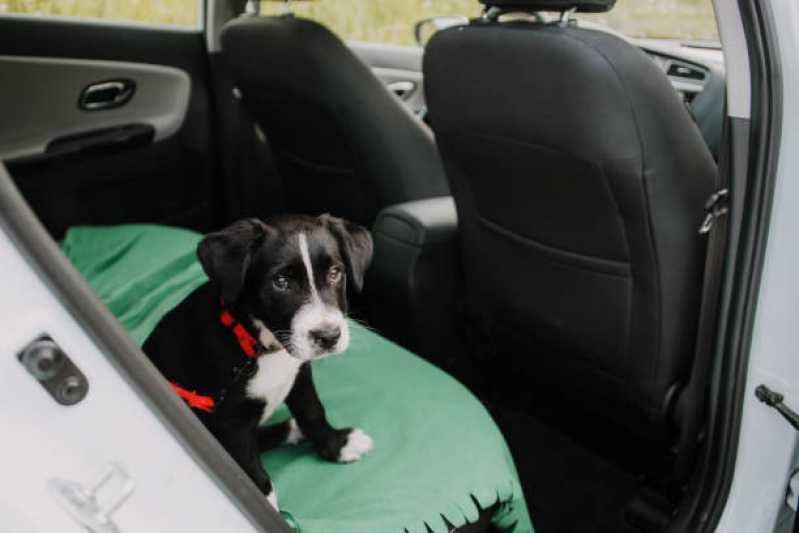 Onde Encontrar Pet Shop com Hidratação Jardim Elisa - Pet Shop para Cachorros