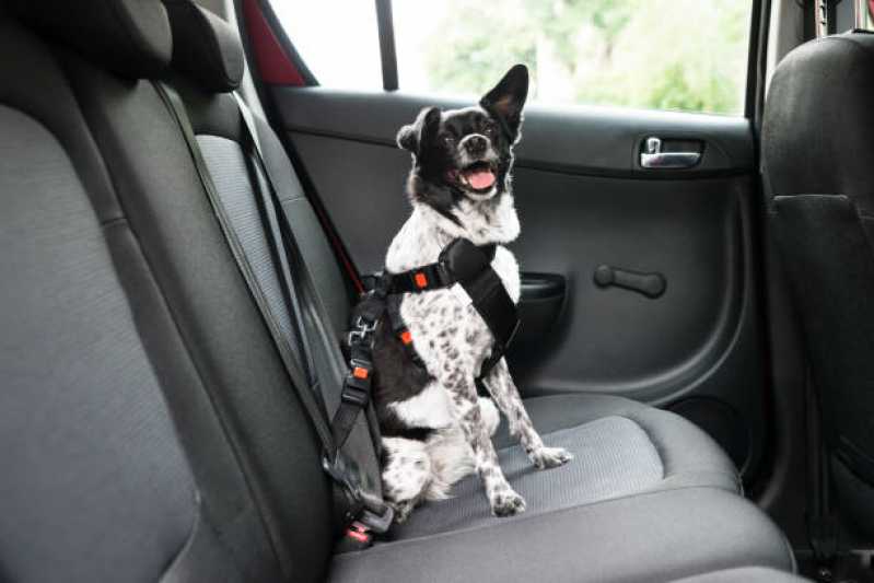 Onde Tem Táxi Cachorro Eldorado - Táxi Dog Pet