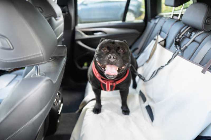 Onde Tem Táxi para Animais Serraria - Táxi de Cachorro