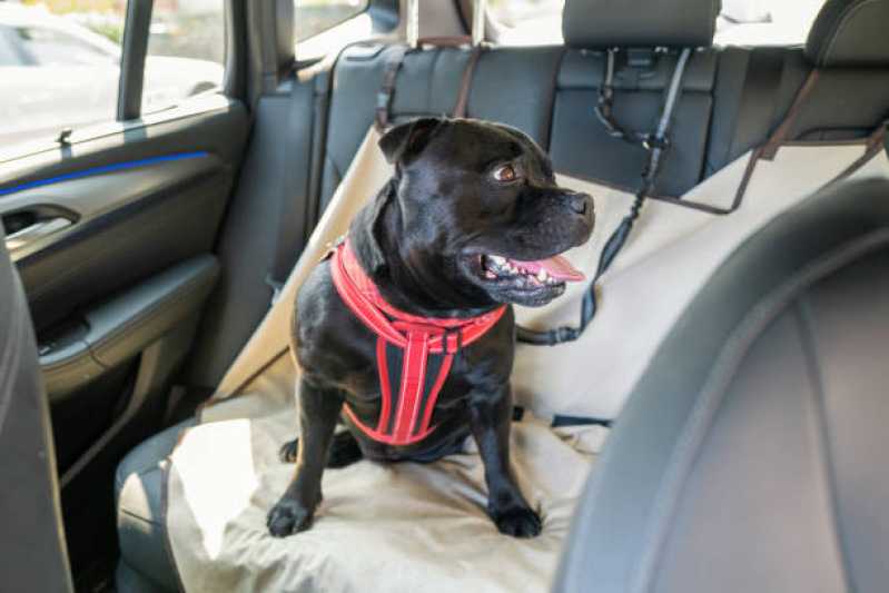 Onde Tem Táxi para Cachorro Vila Santa Rita - Táxi Dog Pet