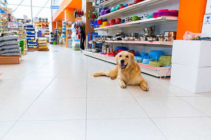 Pet Shop Banho Contato Jardim Gazuza - Pet Shop para Cães e Gatos