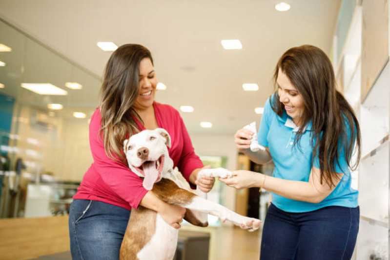 Pet Shop Banho e Tosa Contato Conceição - Pet Shop com Hidratação