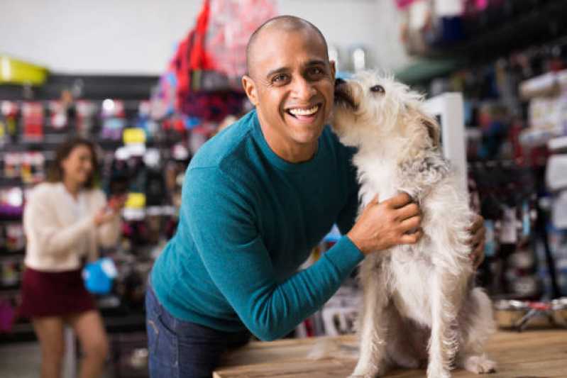 Pet Shop Banho e Tosa Higiênica Jardim Ruiz - Pet Shop para Cachorros