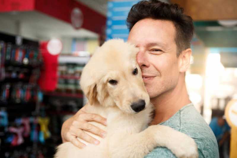 Pet Shop Perto de Mim Contato Jardim dos Eucaliptos - Pet Shop Próximo a Mim