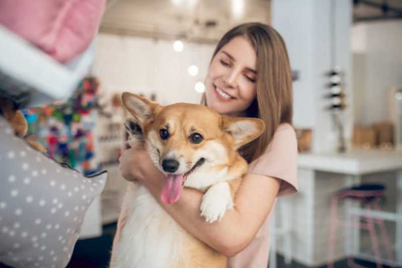 Pet Shop Perto de Mim Jardim Inamar - Pet Shop Banho e Tosa Diadema