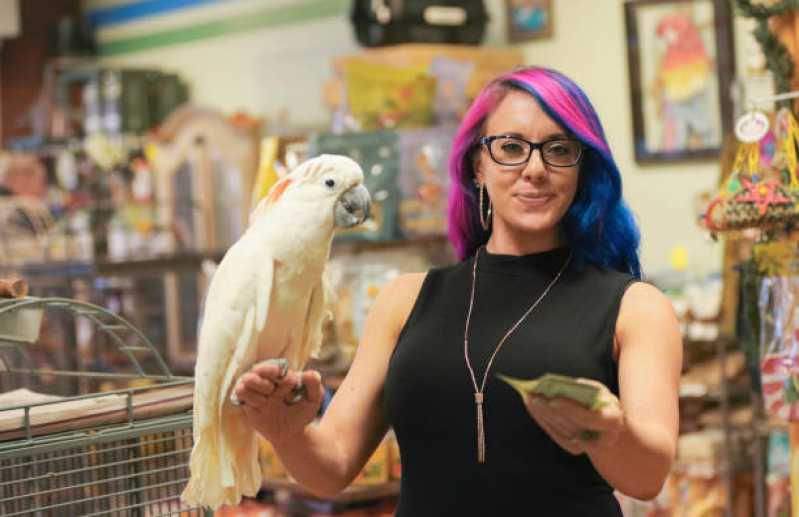 Pet Shop Próximo a Mim Contato Vila Dirce - Pet Shop para Gatos