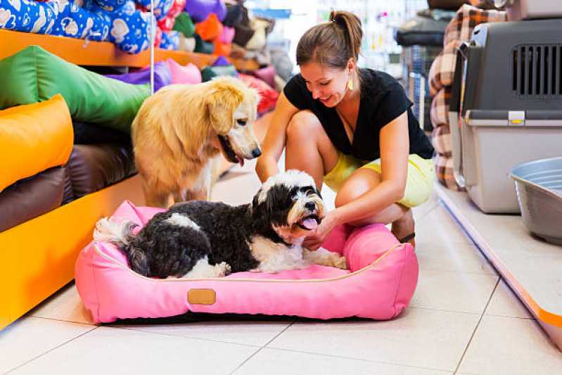 Pet Shop Próximo a Mim Jardim Gazuza - Pet Shop para Cachorros