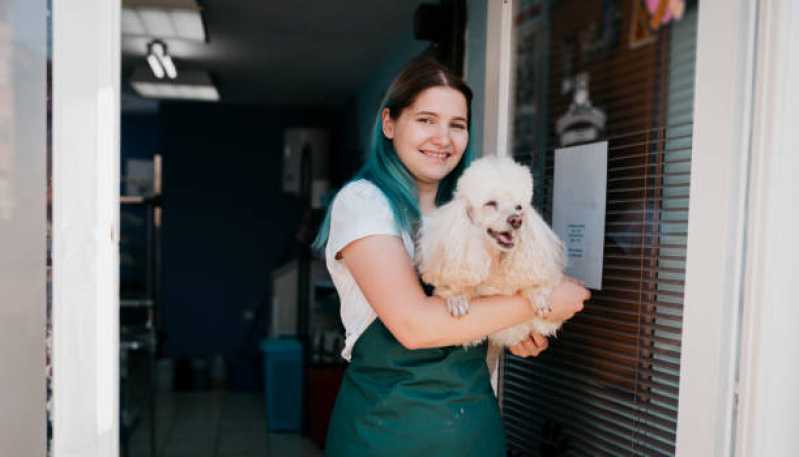 Pet Shop Próximo Jardim Padre Anchieta - Pet Shop para Cães e Gatos