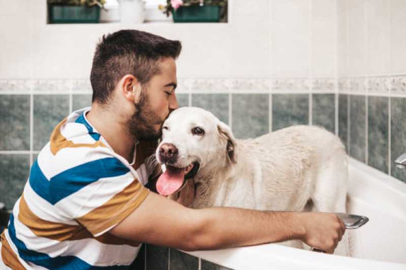 Quanto Custa Pacote Mensal de Banho para Cachorro de Grande Porte Vila Socialista - Pacote Mensal de Banho e Tosa Higiênica