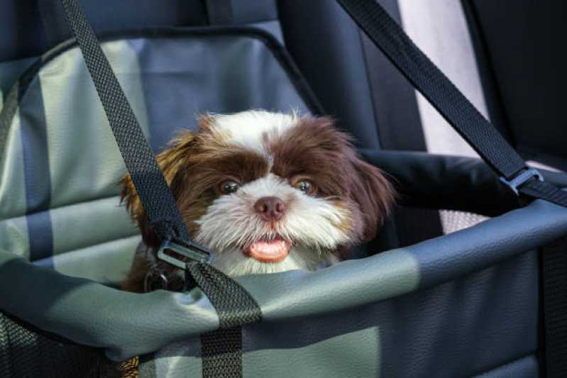 Táxi Dog Marcar Vila Santa Terezinha - Táxi Dog Pet