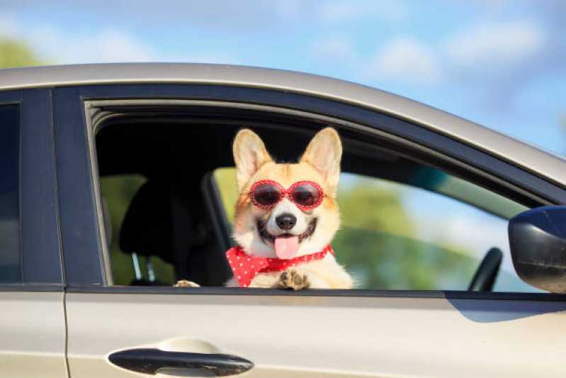 Táxi para Cachorro Vila Alice - Táxi Dog Pet