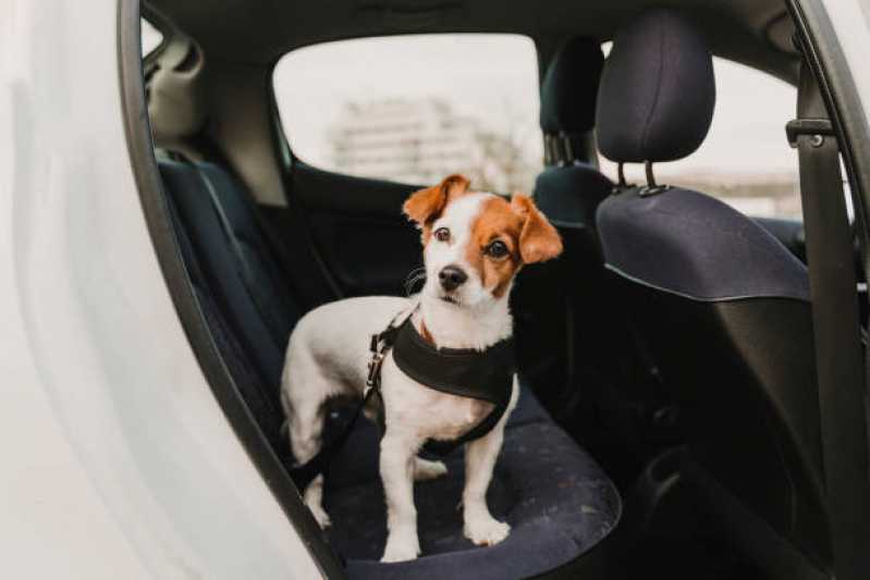 Táxi para Cães Marcar Vila Ida - Táxi Dog Diadema