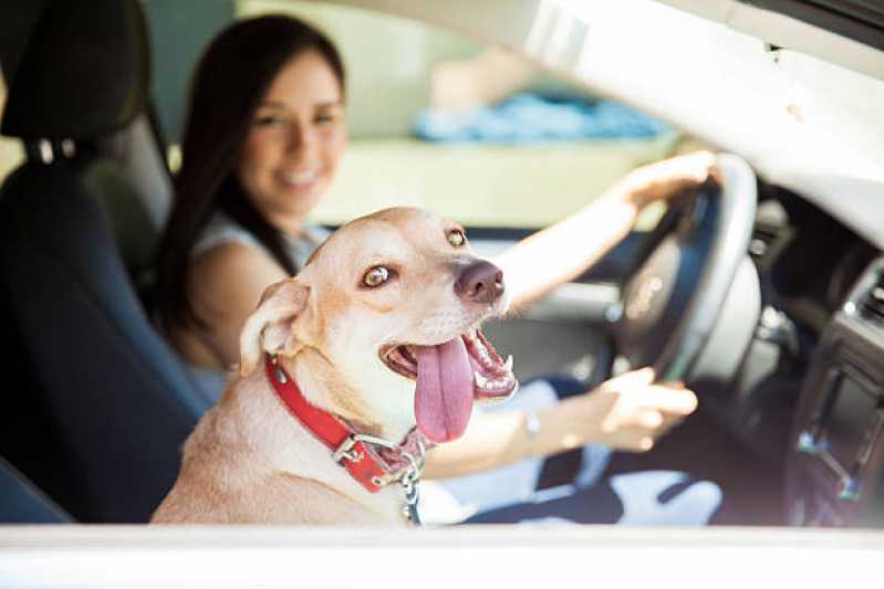Telefone de Pet Shop Banho e Tosa Higiênica Vila Elida - Pet Shop para Animais