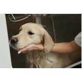 banho e tosa para animais valor Campanário