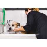 quanto custa pacote mensal de banho e tosa higiênica em cachorro Sitio Mato Dentro