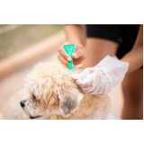 tratamento de anti pulgas em cães Jardim Fenix