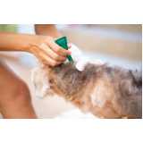 Tratamento de Anti Pulgas em Cachorros